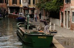 venedig-agnese-2012-agnes laube